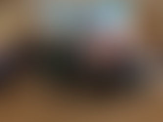 Delegação do Cantão de Berna, na Suíça, visita Joinville