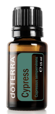 Cypress, the Oil of Motion & Flow