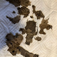 Buried Meditation Book