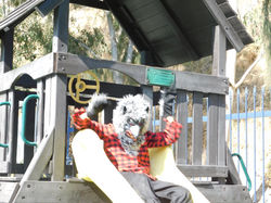 4BDD49AB-FF3E-41BC-A645-D4332CF56D48_1_1