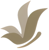 zyro-image (3)_edited_edited.png