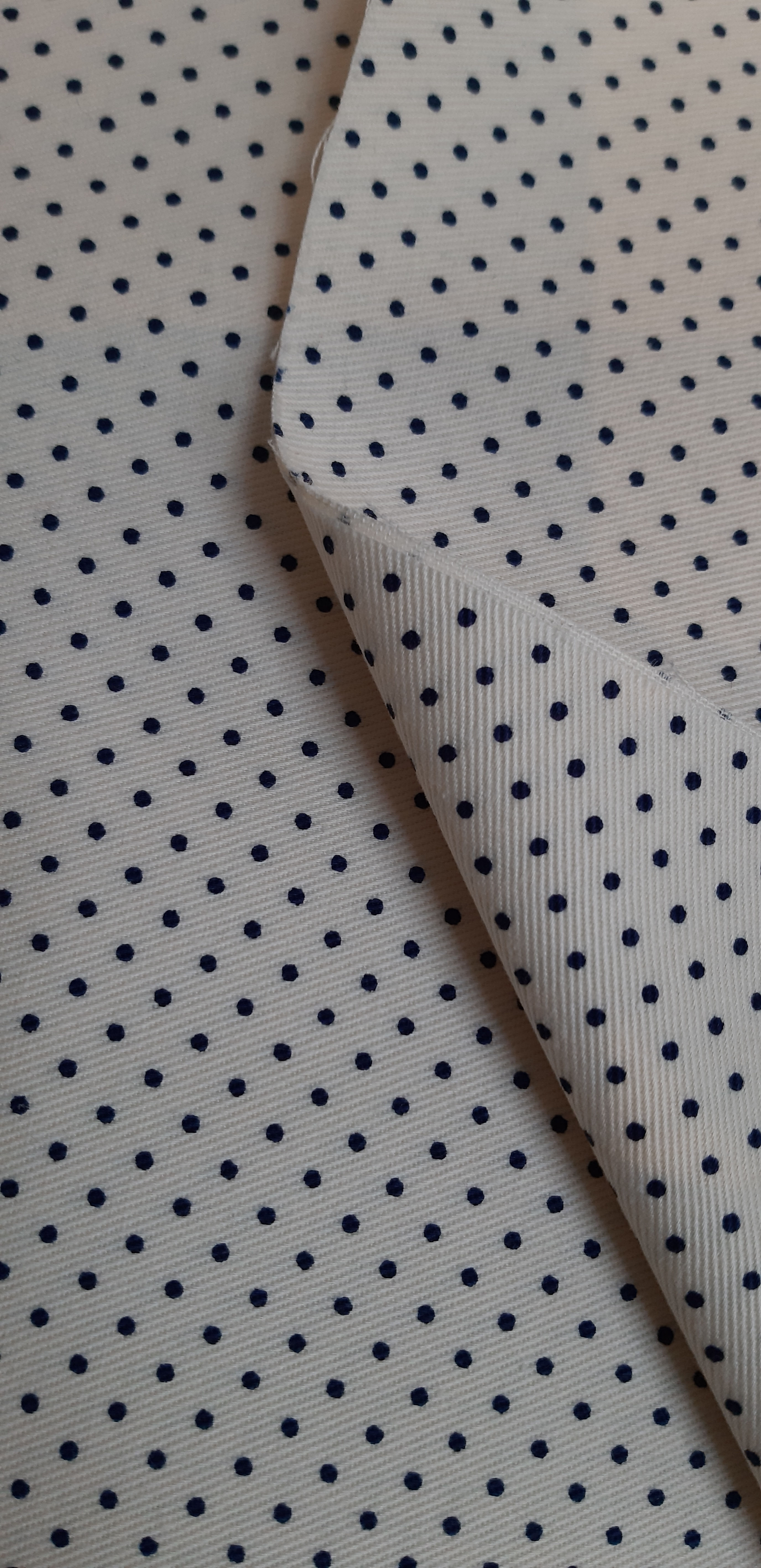 Cotton Twill - Cream & Navy Polka Dot