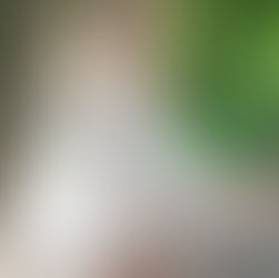 서울 관악구 남현동 오피 건마 1인샵 스웨디시 마사지 유흥 업소 안내 의자왕