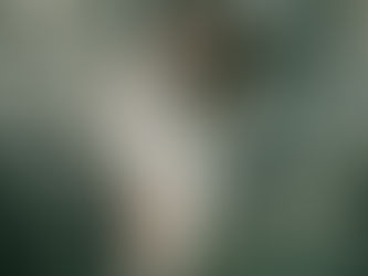 서울 마포구 연남동 오피 건마 1인샵 스웨디시 마사지 유흥 업소 안내 의자왕