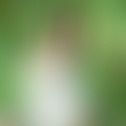 인천 부평구 산곡동 오피 건마 1인샵 스웨디시 마사지 유흥 업소 안내 의자왕