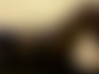 서울 강서구 방화동 오피 건마 1인샵 스웨디시 마사지 유흥 업소 안내 의자왕