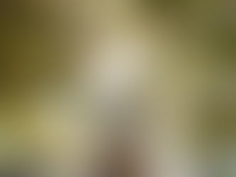 Foundations of Vitality Part Three: Resilience is your Root