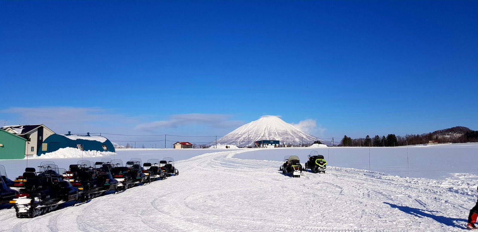 WhatsApp Image 2023-08-15 at 02.55.22.jpeg