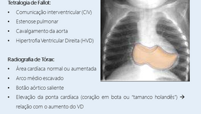 Sinal do tamanco holandês: qual cardiopatia congênita pensar?