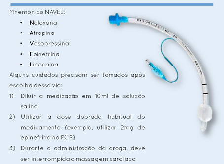 Quais drogas podem ser feitas no tubo orotraqueal?
