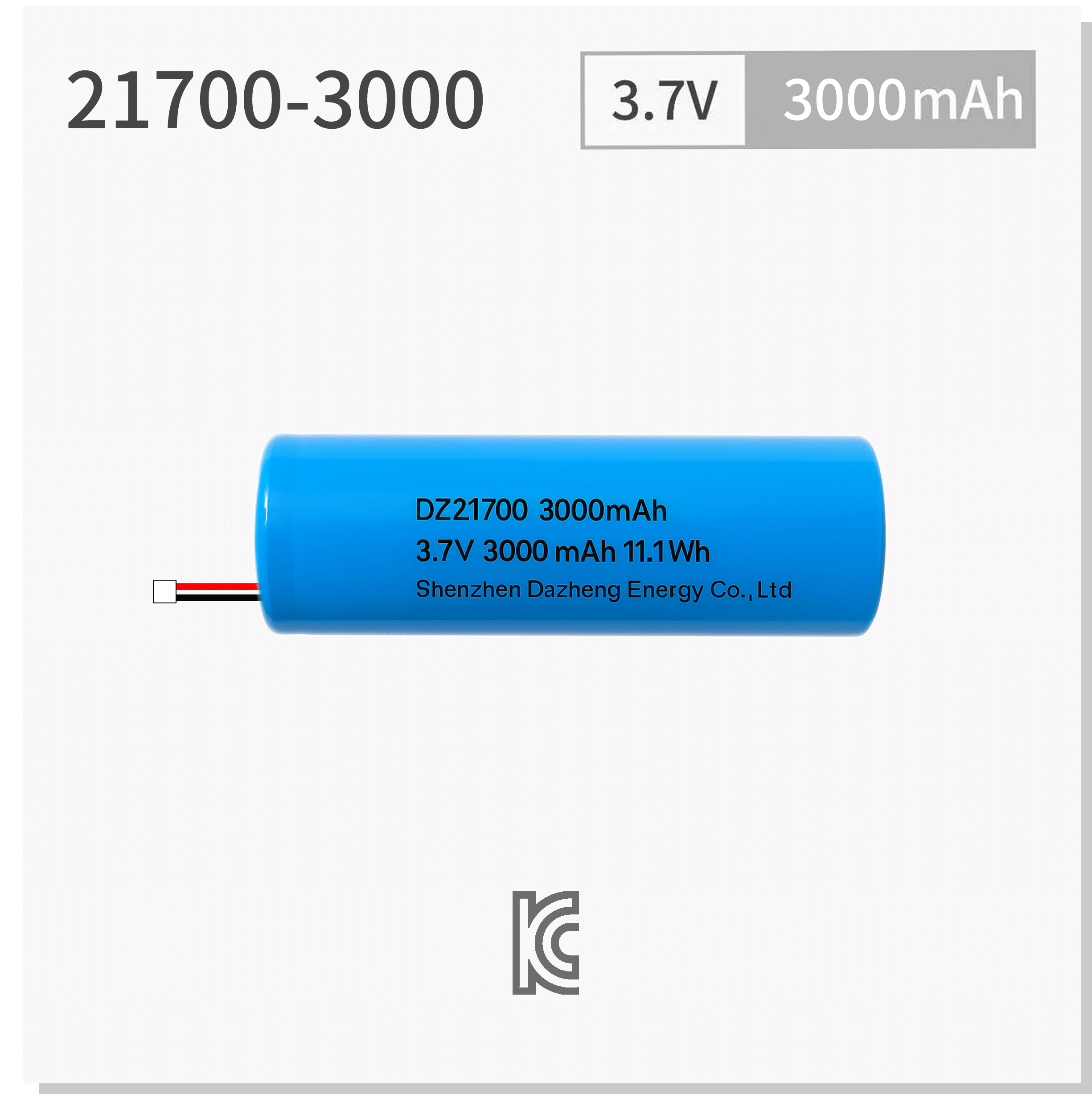 21700-3000.png