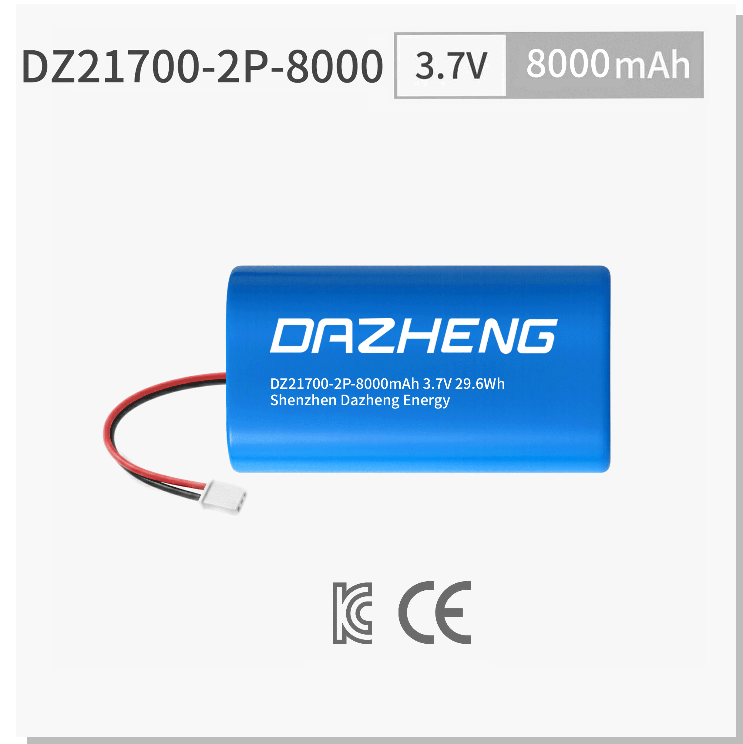 DZ21700-2P-8000.png