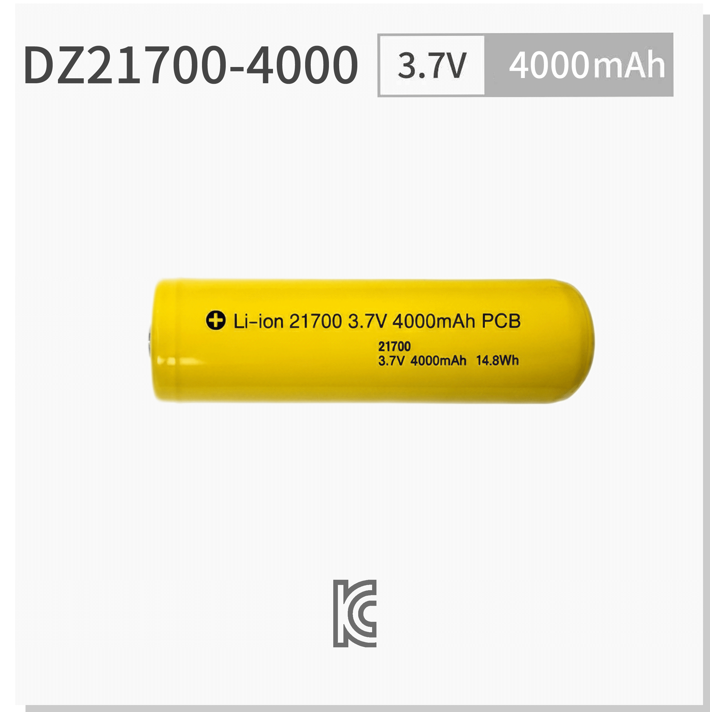 DZ21700-4000.png