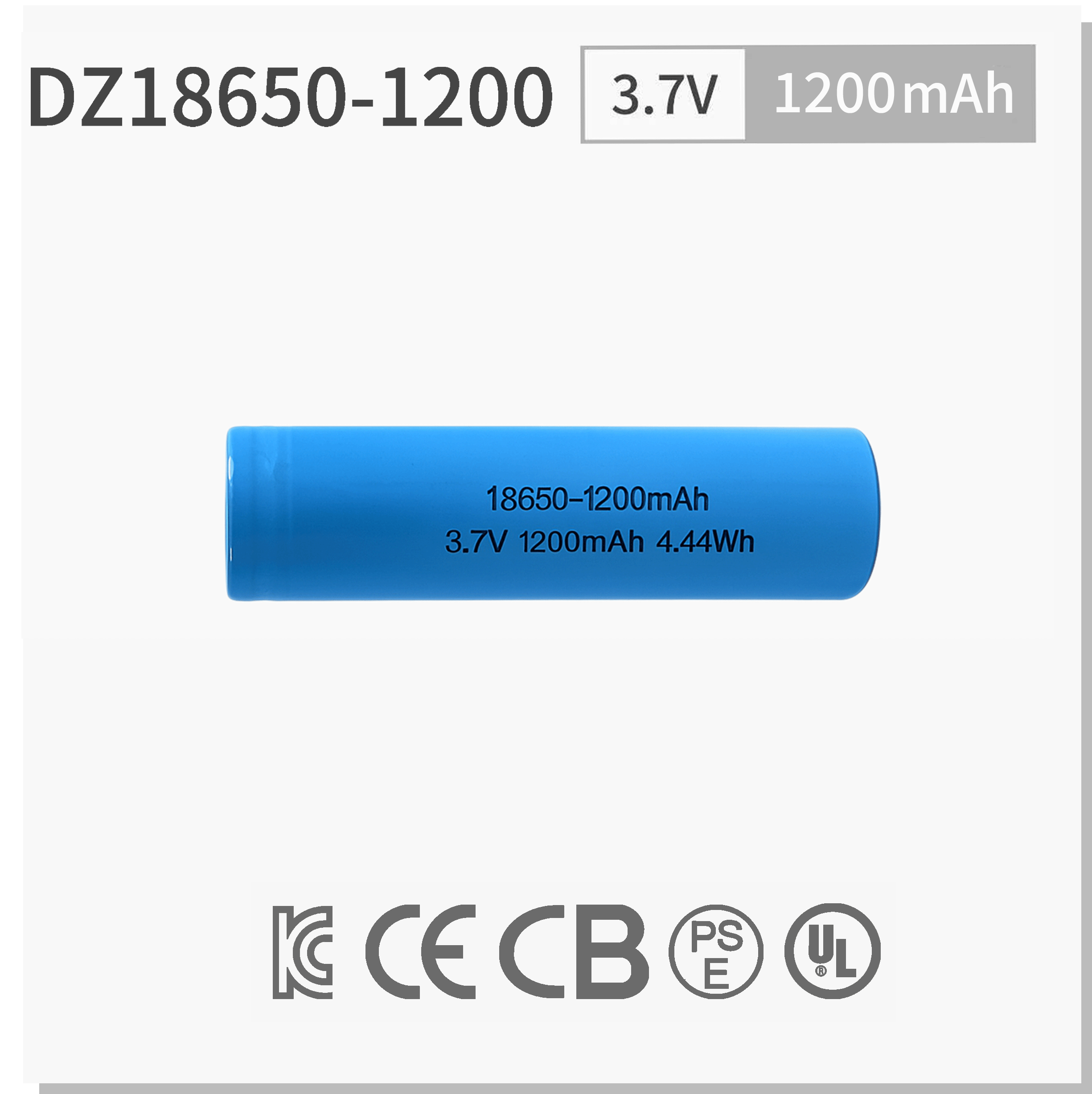 DZ18650-1200.png