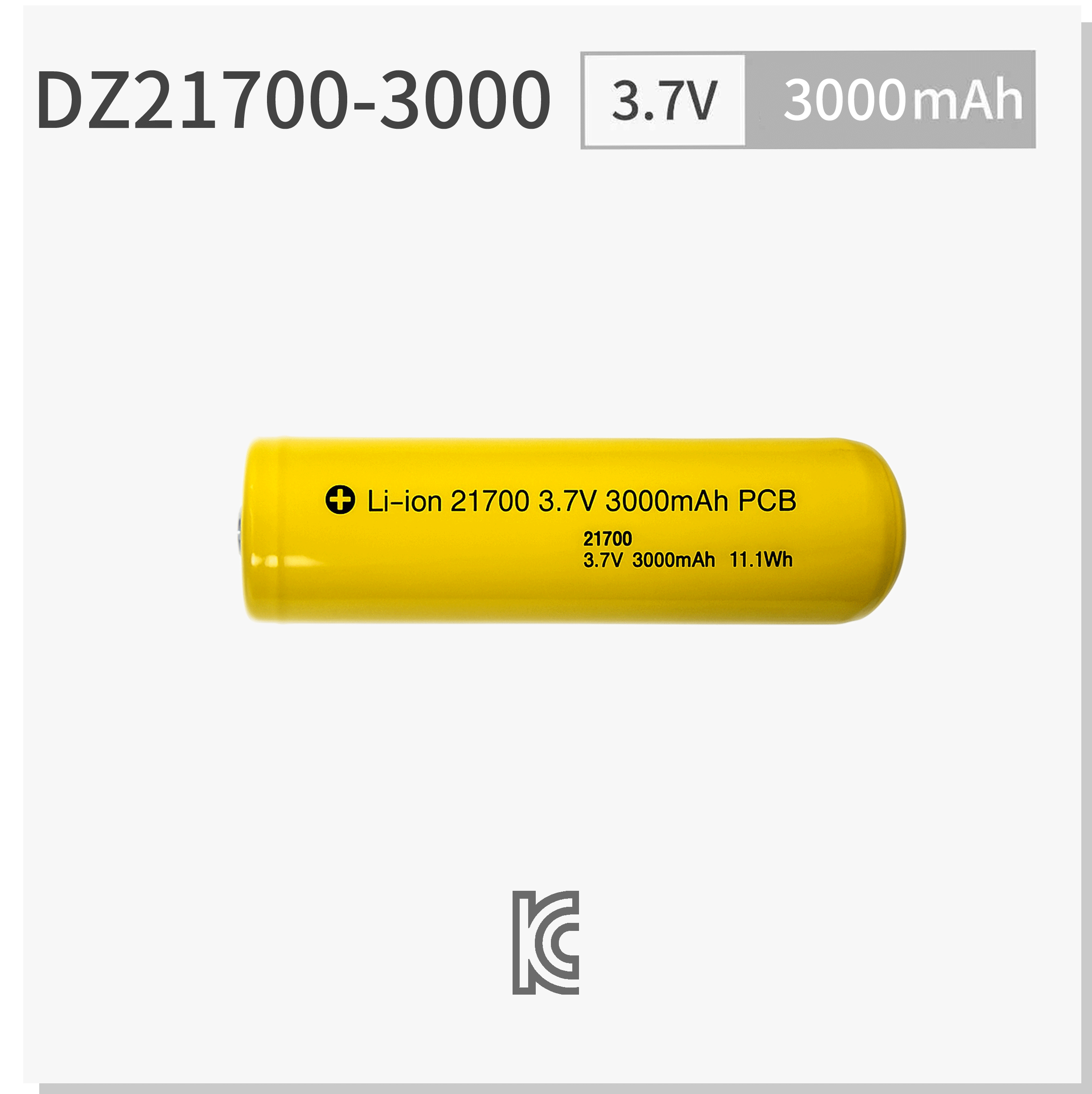 DZ21700-3000.png