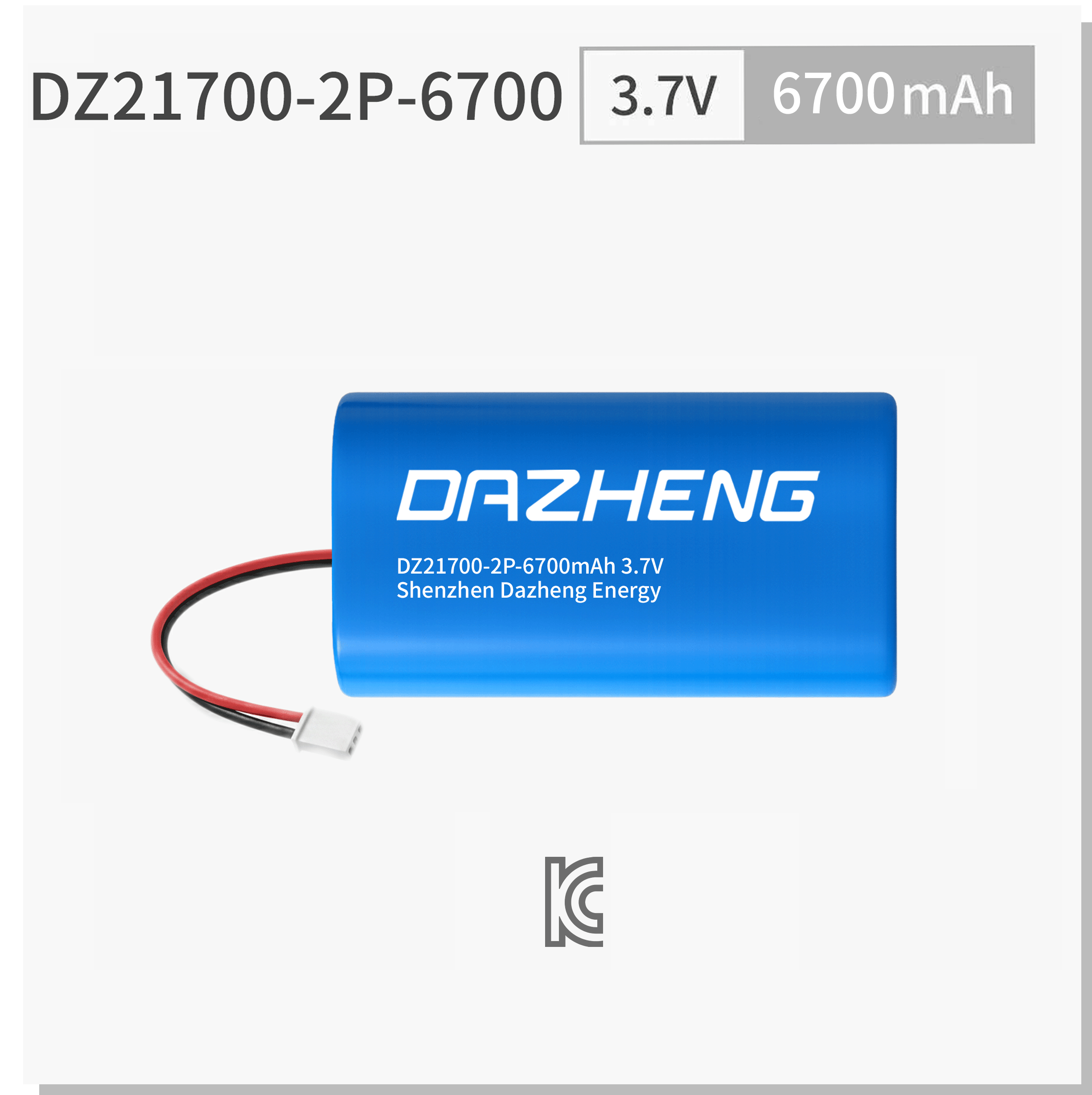DZ21700-2P-6700.png