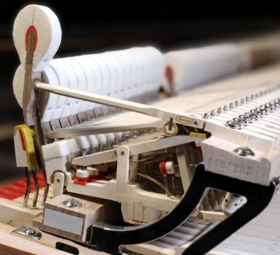 Marteaux de piano à queue