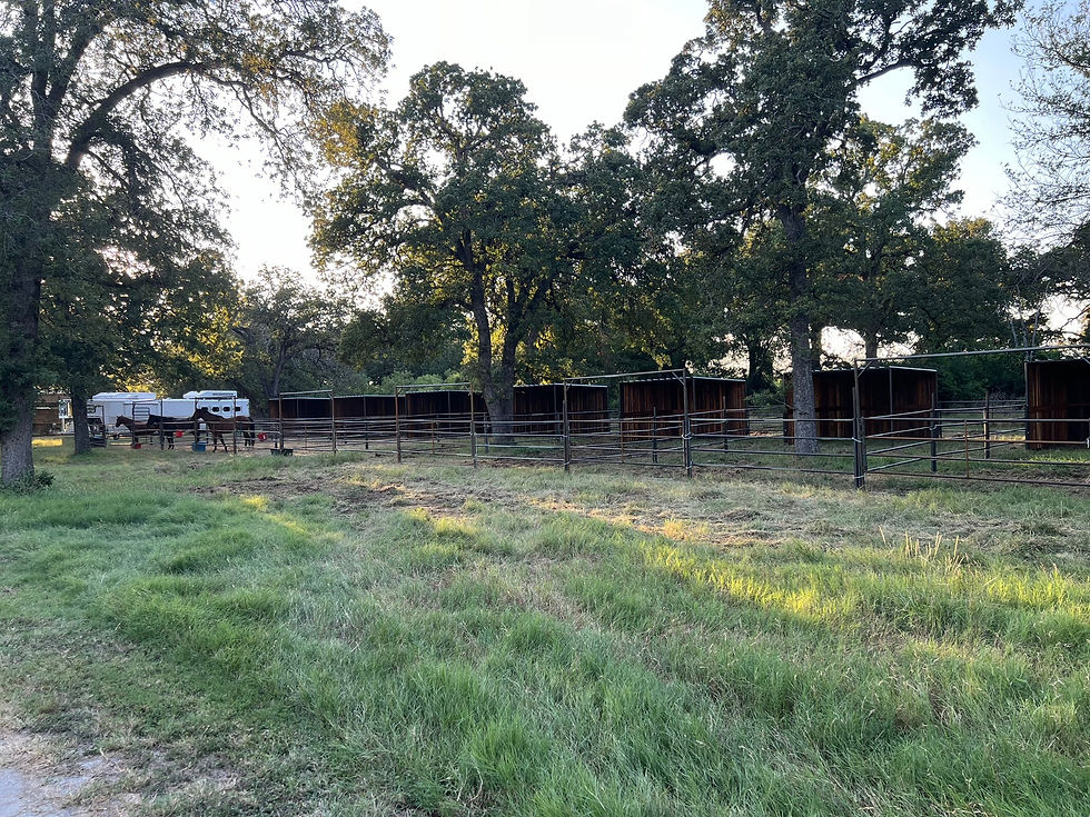 Thumbnail: 7 Stall Shedrow (Two Sided Buildings)