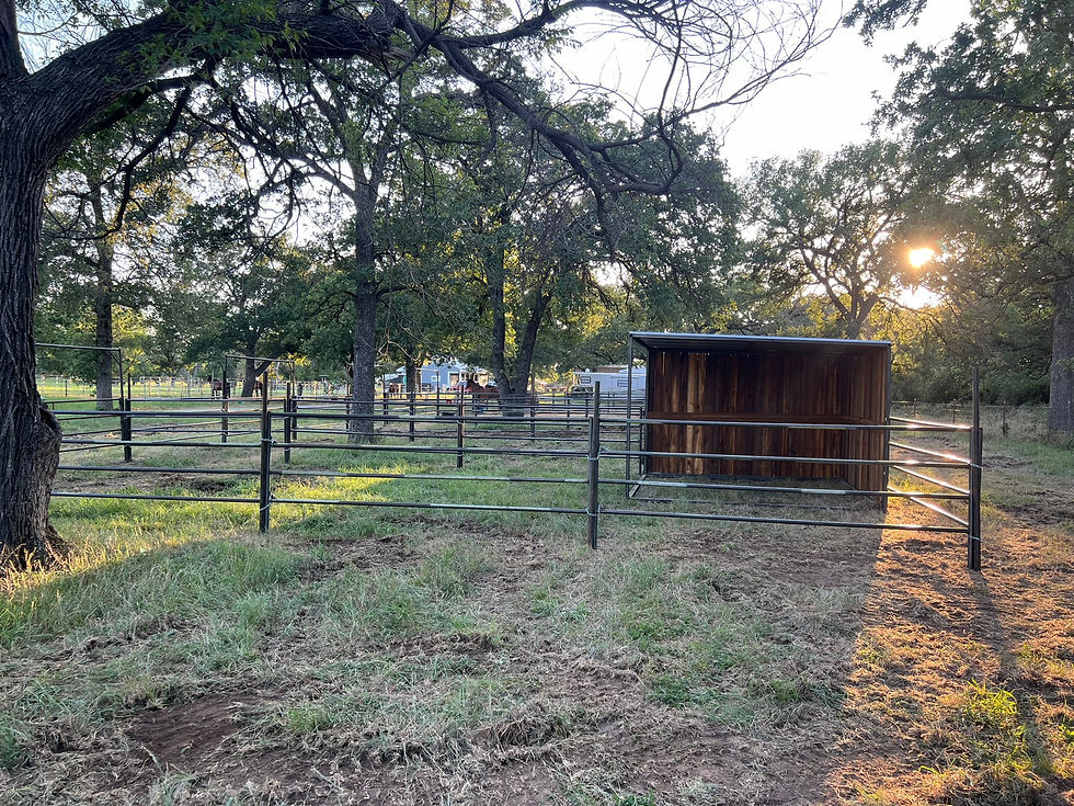Thumbnail: 7 Stall Shedrow (Two Sided Buildings)