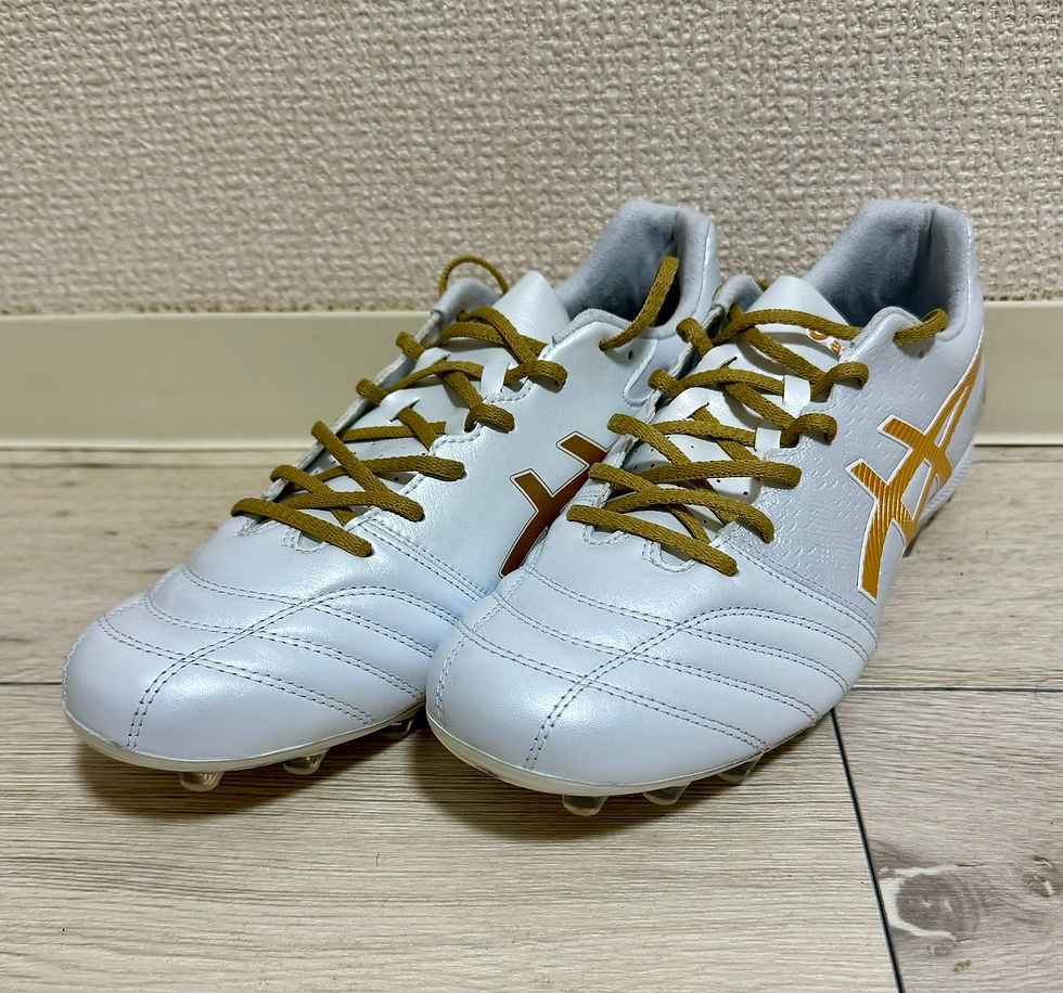146.asics DS LIGHT PRO AG