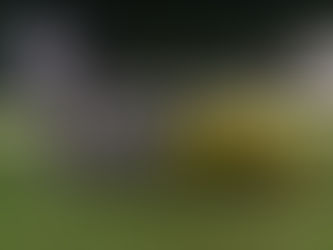 93th「秋の夜も熱く楽しく盛り上がるんです!!」