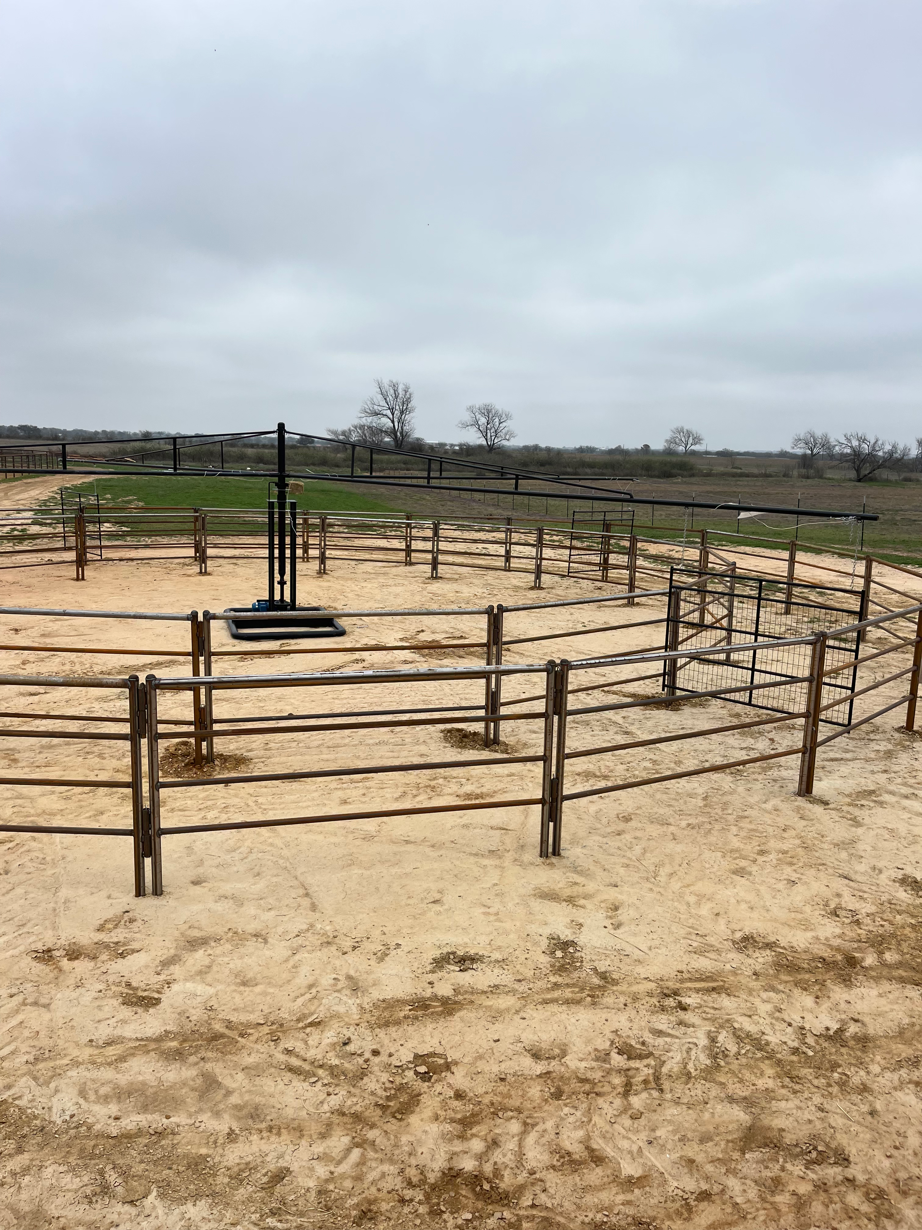 Manual Horse Walker with Pipe Panels