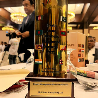 Lustre Awarded at the South Asia Business Excellence Awards For The Second Consecutive Time!