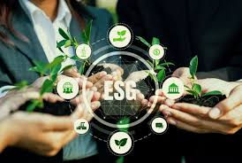 ESG and Sustainable Finance: A Complete Guide for Beginners