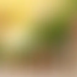 Green Banking: How Banks Are Encouraging Eco-Friendly Finance