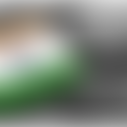 Indian Information Technology and Software Sector: A Comprehensive Industry Analysis Report | Scrolls