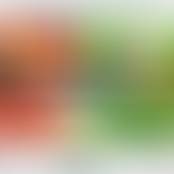 Internal Accruals vs External Funding: The Hidden Driver of Sustainable Growth