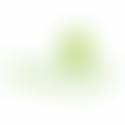 LEMON TREE HOTELS LIMITED – Comprehensive Stock Analysis Report | Scrolls