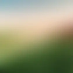 Agriculture Sector in India: Comprehensive Industry Analysis Report | Scrolls