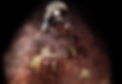 bombeiro.png