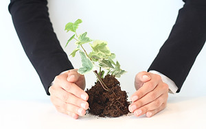 Nurturing Growth