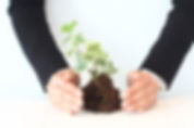 Nurturing Growth