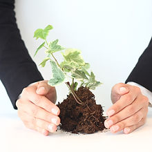 Nurturing Growth 