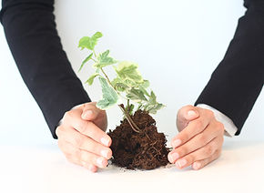 a man hold a small seed tree