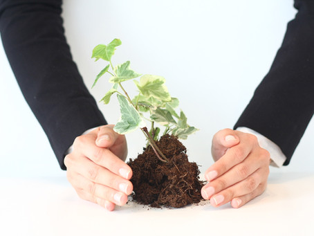 Continue to invest in your employees!