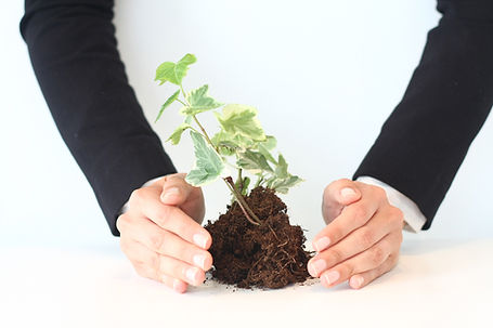 Pre-investment services