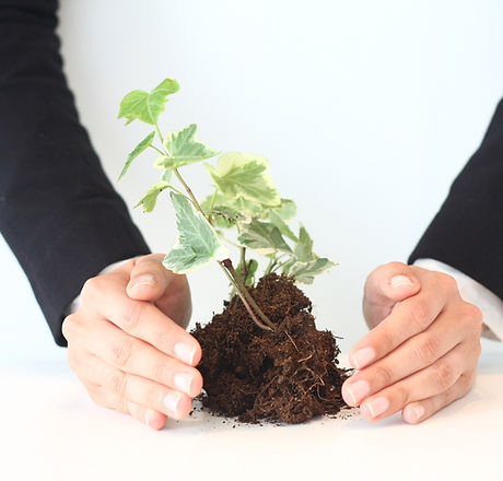Nurturing Growth