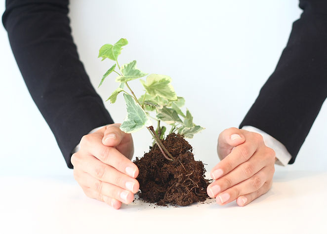 Nurturing Growth