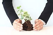 Nurturing Growth