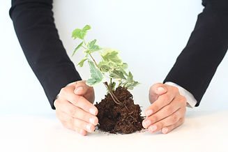 Growth pathway image