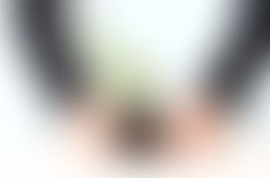 成長如種植植物