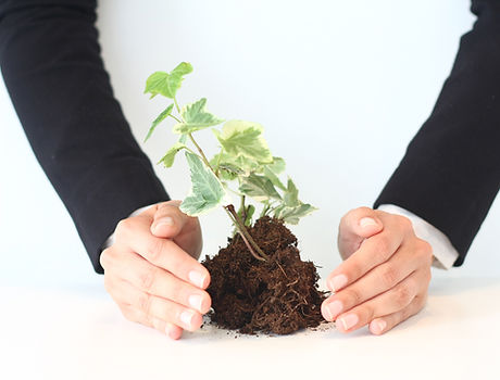 Nurturing Growth