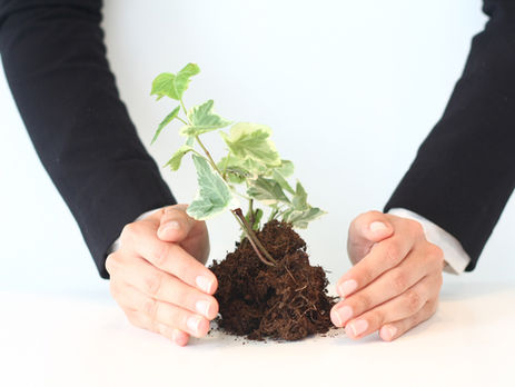 The Growth Plan 2022