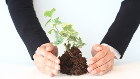 What are Plant Patents?