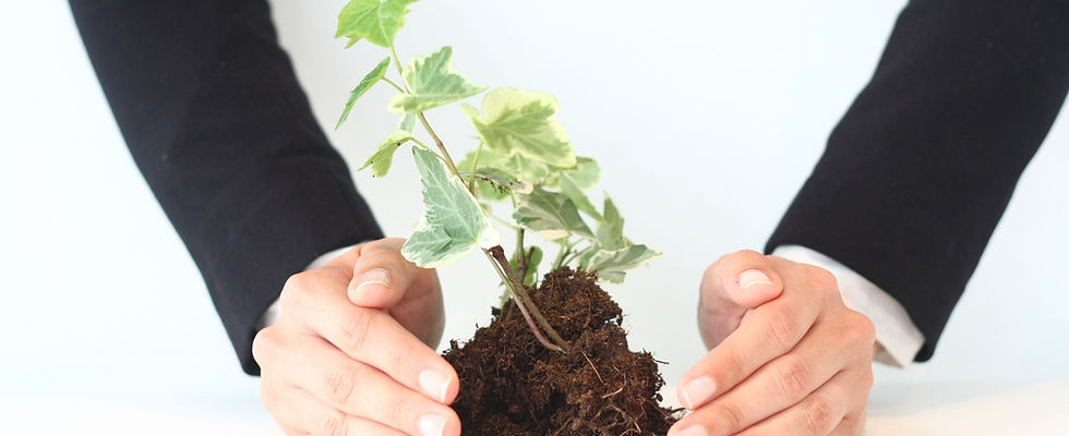 Nurturing Growth