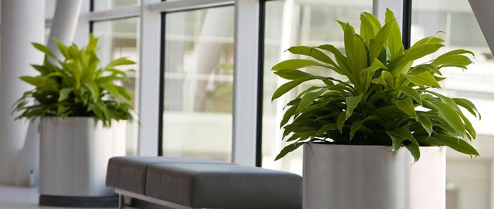 pots-indoor-planters_edited.jpg